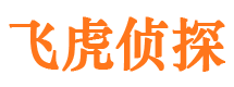 康平市婚姻调查